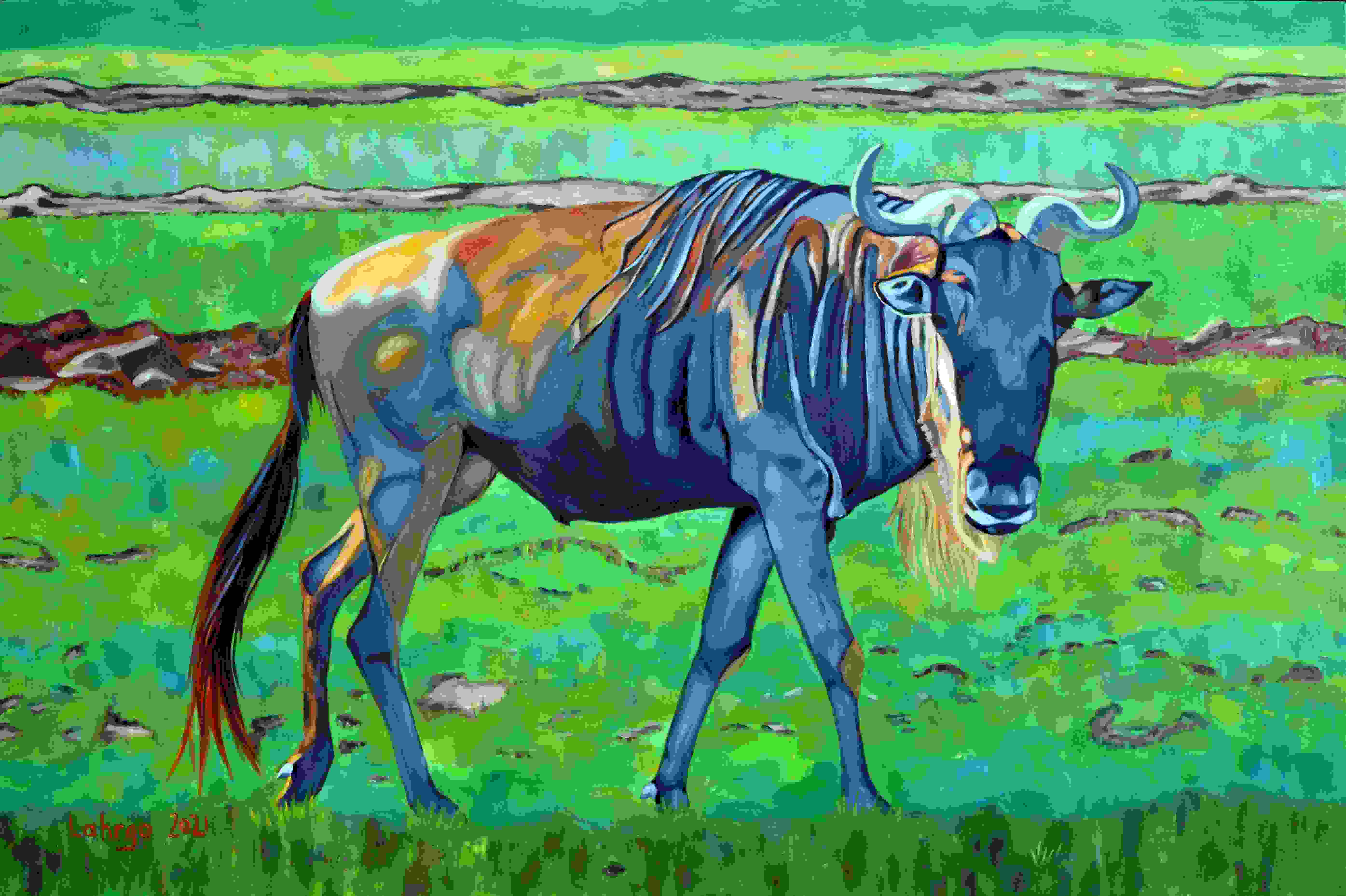 Wildebeest